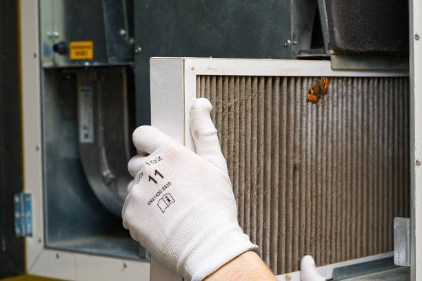 Best Local Air Duct Cleaning Services  in Sully Square, VA