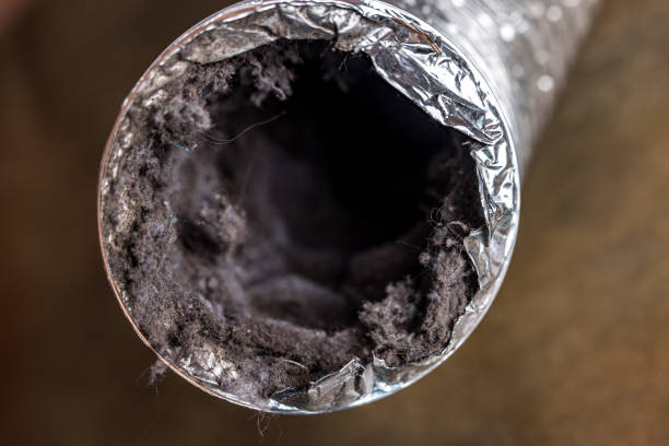 Best Commercial Air Duct Cleaning  in Sully Square, VA