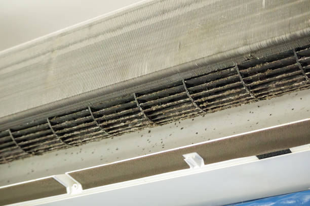 Best Local Air Duct Cleaning Services  in Sully Square, VA